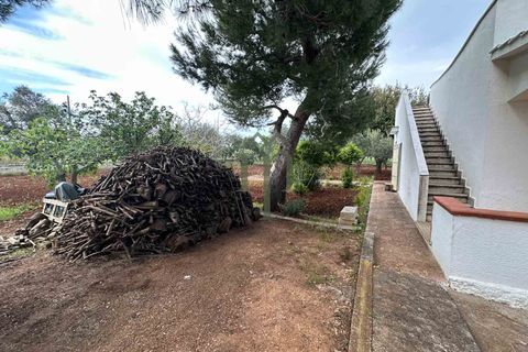 Masia a Ostuni, Brindisi, Ostuni - € 270.000 | Ref: Villa Columbri - foto 6